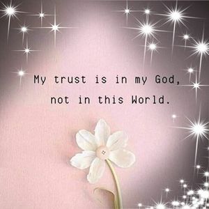 Meet your Posher, Teresa